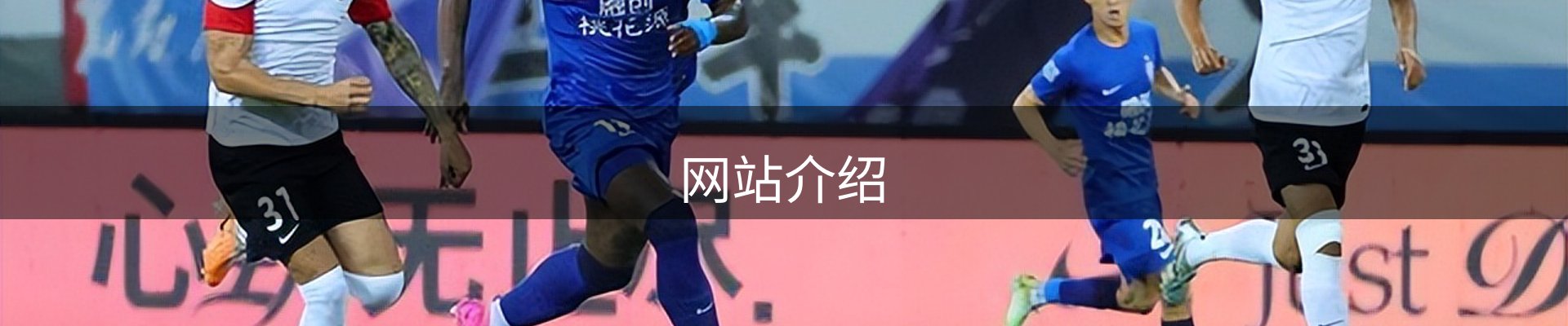 网站介绍